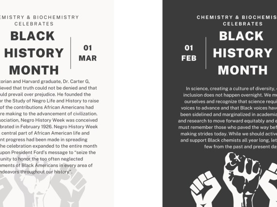 Black History Month slide 1
