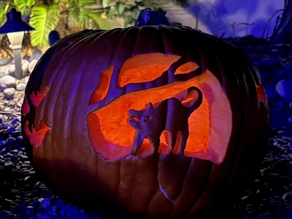 Carved pumkin in the shape of a cat 