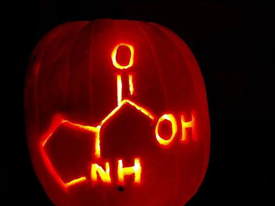 Proline on a Pumpkin