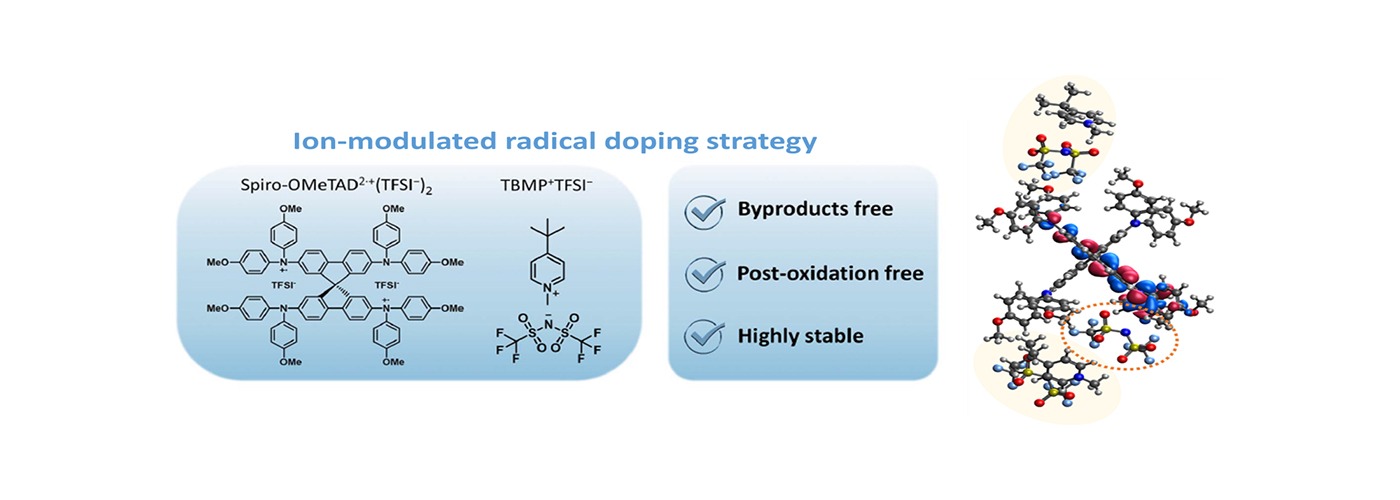 Ion-Modulated Radical Doping Strategy