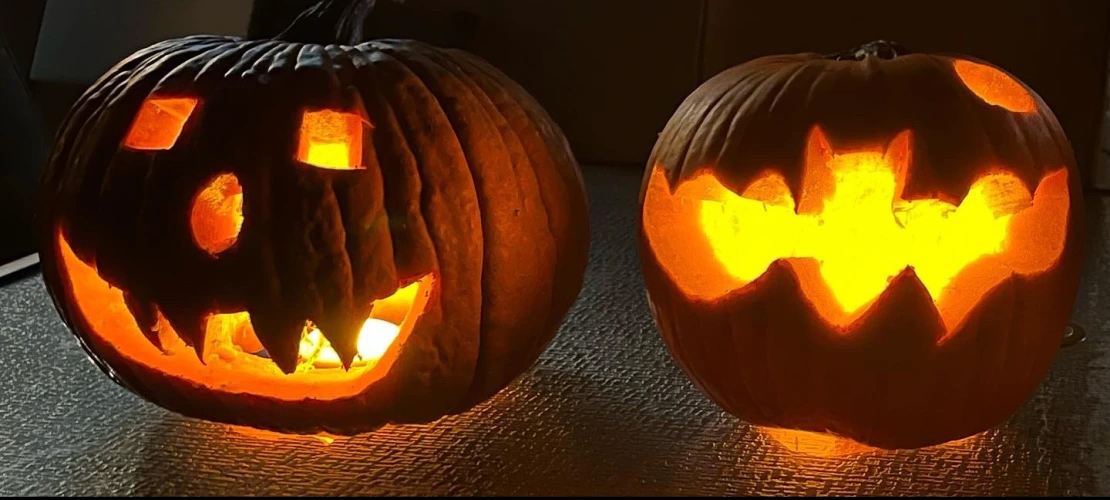 Pumpkins by Brooke Massani & family
