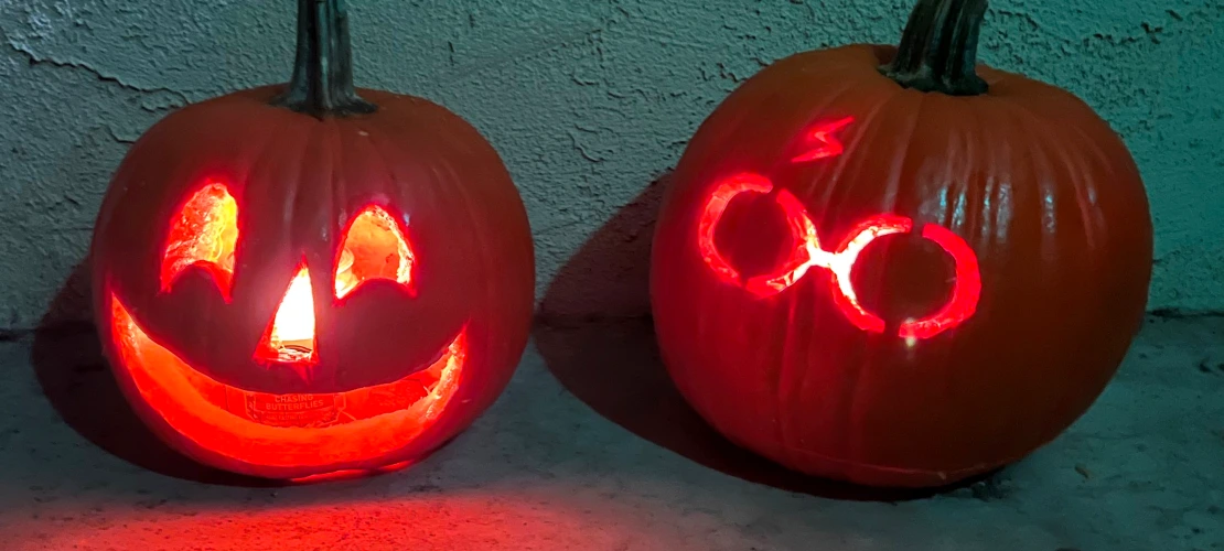 Creative pumpkins by Lily North