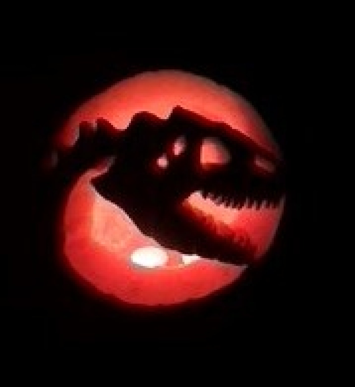 Dino pumpkin - Katrina Miranda