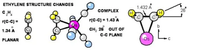 Ethylene Structure Changes