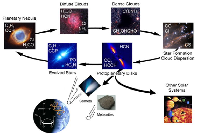 The interstellar molecular life cycle
