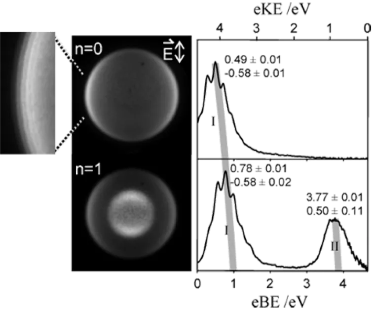 sanov research