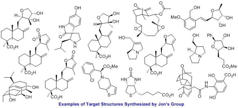 examples of target structures