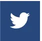 Twitter icon