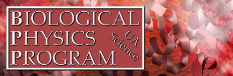 Biological Physics Program
