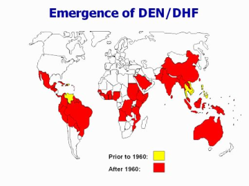 Increase in reported cases of Dengue hemorrhagic fever 